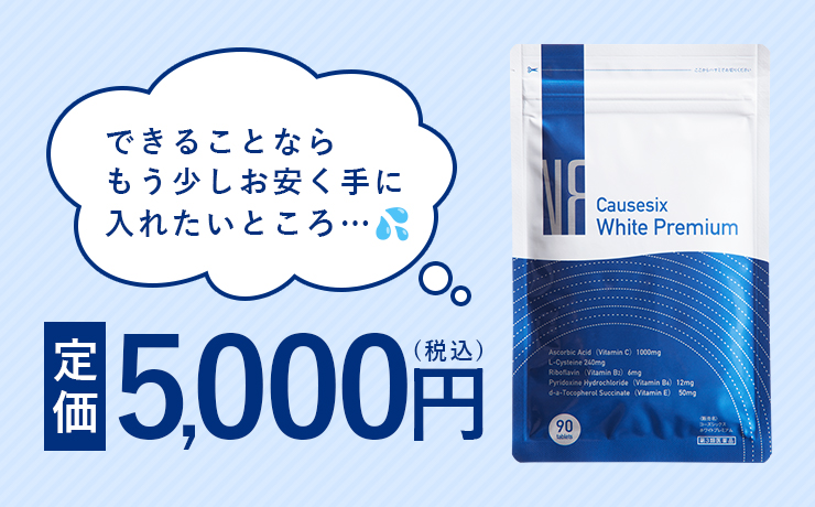 定価5,000円(税込) できることならもう少しお安く手に入れたいところ…